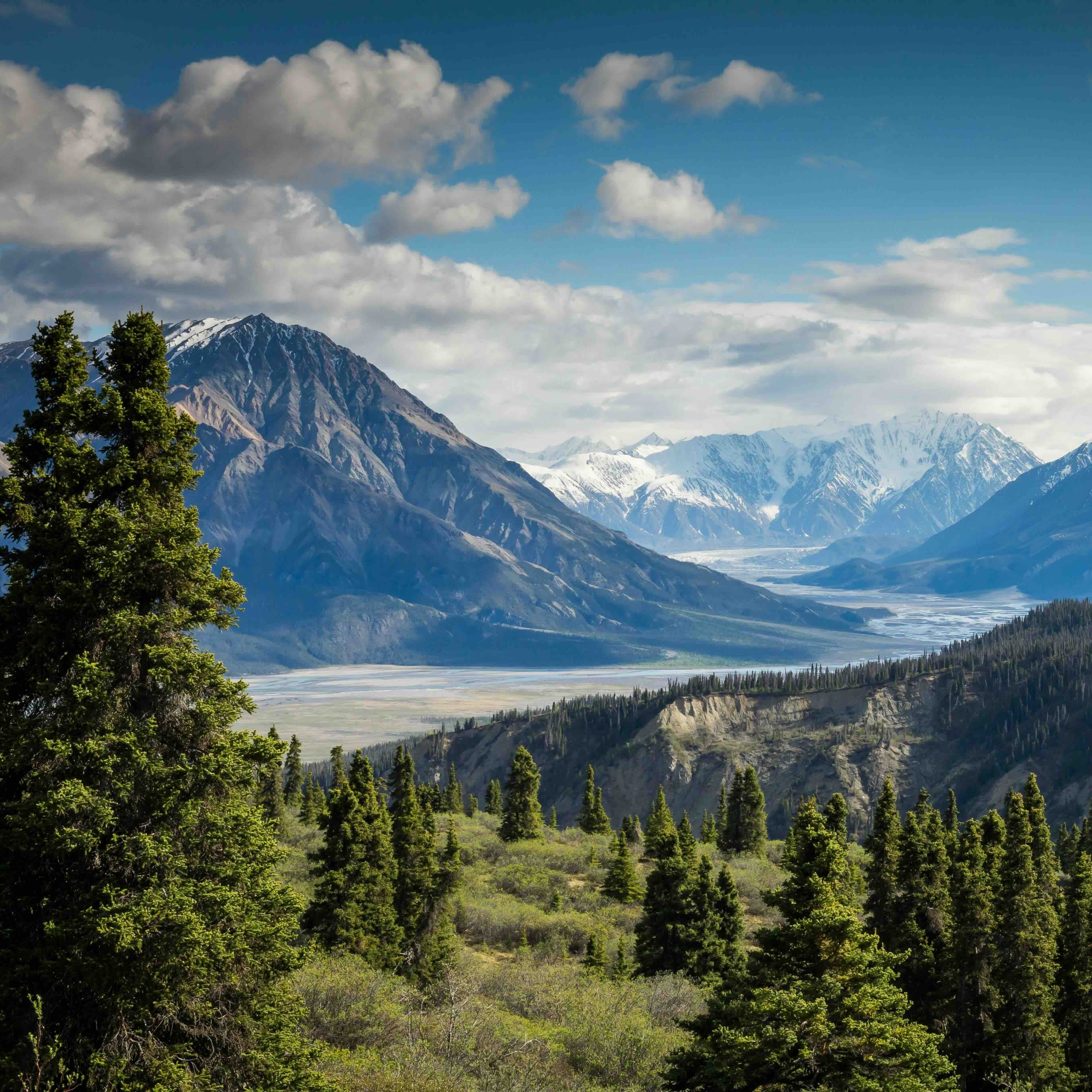 kalen-emsley-Bkci_8qcdvQ-unsplash